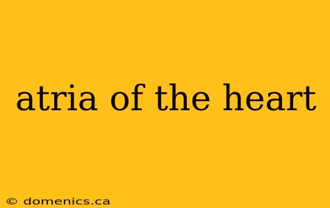 atria of the heart