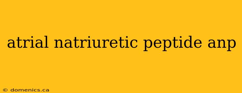 atrial natriuretic peptide anp