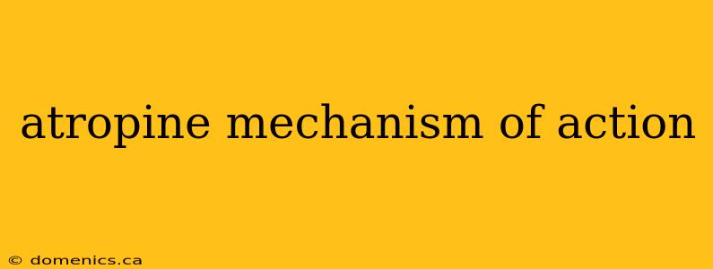 atropine mechanism of action