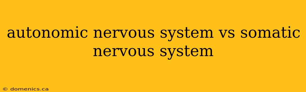 autonomic nervous system vs somatic nervous system