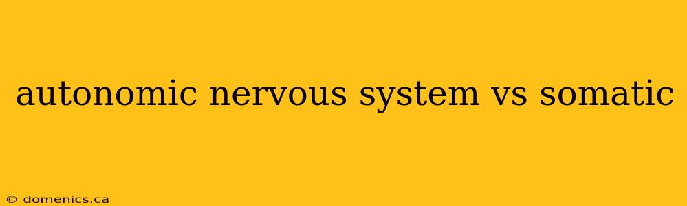 autonomic nervous system vs somatic