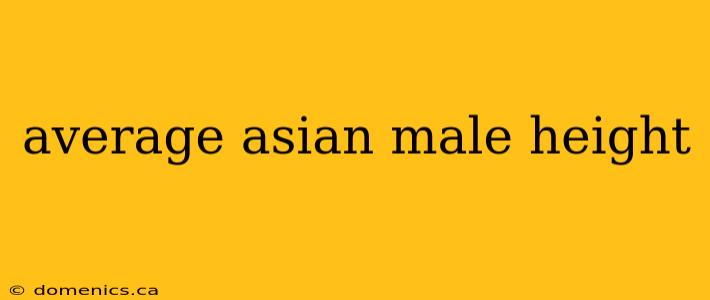 average asian male height