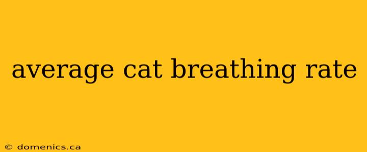 average cat breathing rate