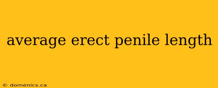 average erect penile length