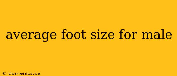 average foot size for male