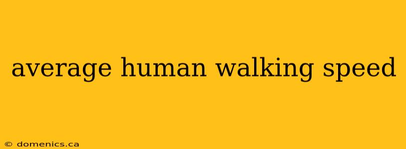 average human walking speed