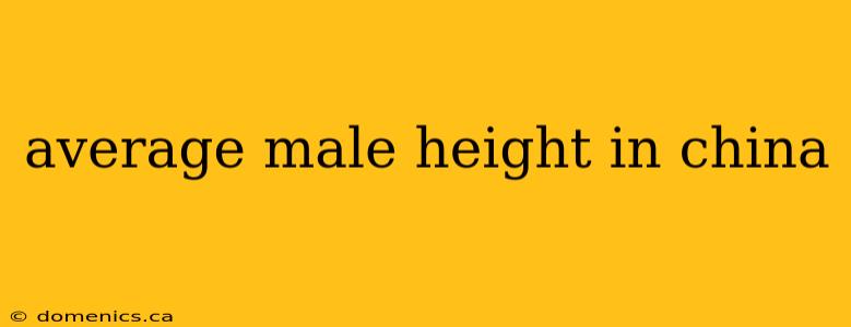 average male height in china