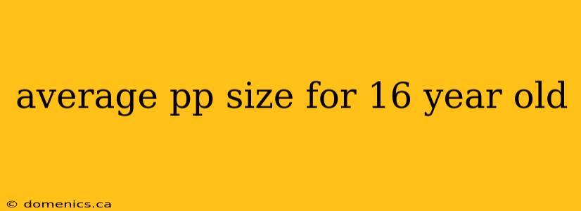 average pp size for 16 year old