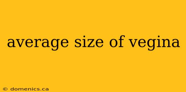 average size of vegina