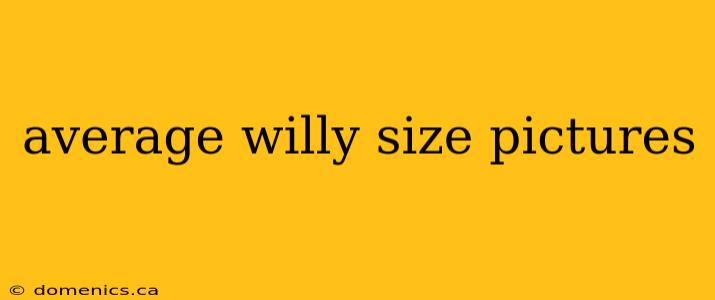 average willy size pictures