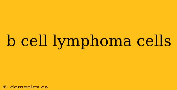 b cell lymphoma cells