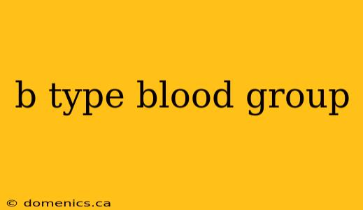 b type blood group