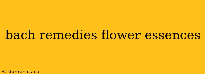 bach remedies flower essences