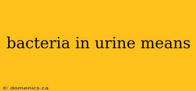 bacteria in urine means