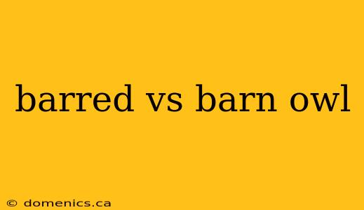 barred vs barn owl