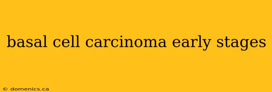 basal cell carcinoma early stages