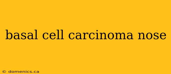 basal cell carcinoma nose