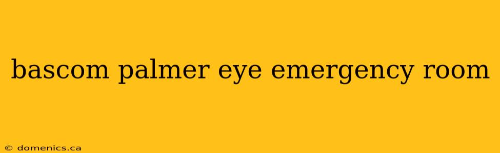 bascom palmer eye emergency room