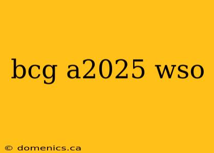 bcg a2025 wso