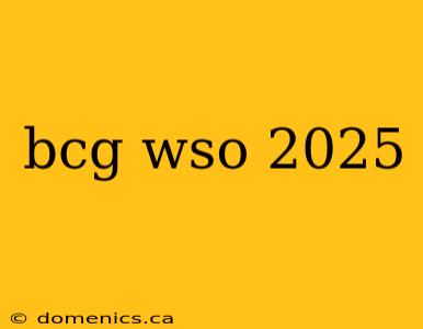 bcg wso 2025