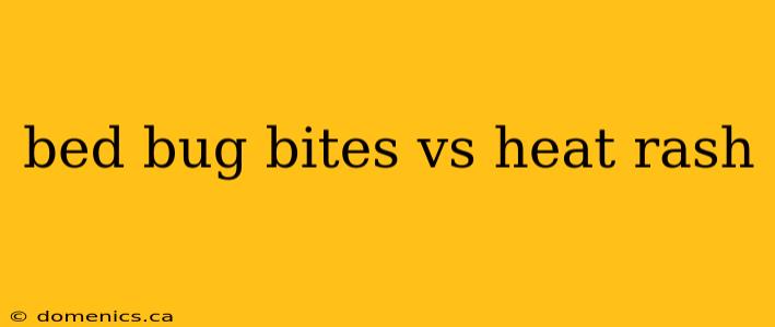 bed bug bites vs heat rash