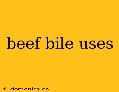 beef bile uses