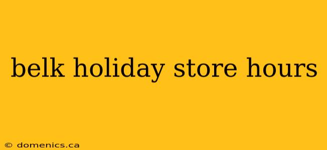 belk holiday store hours