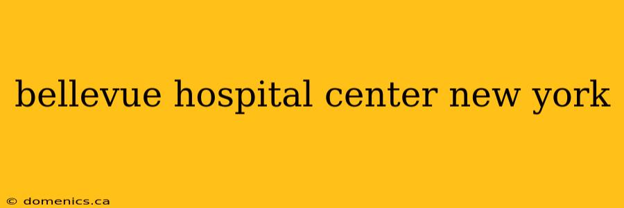 bellevue hospital center new york