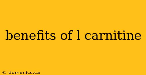 benefits of l carnitine