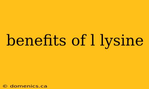 benefits of l lysine