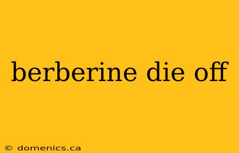 berberine die off