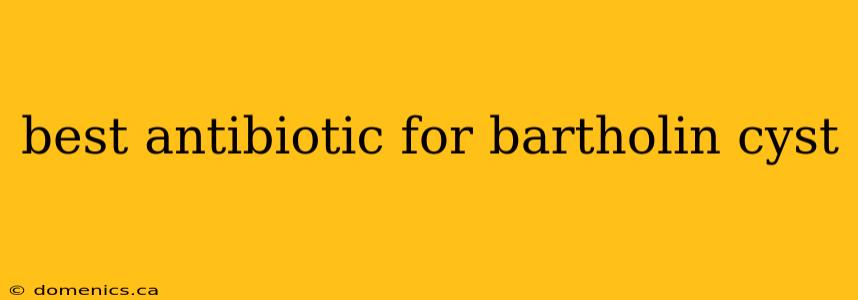 best antibiotic for bartholin cyst