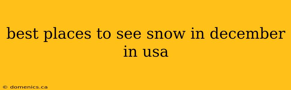 best places to see snow in december in usa