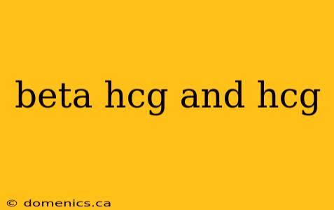 beta hcg and hcg