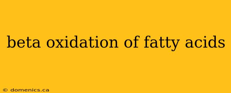 beta oxidation of fatty acids