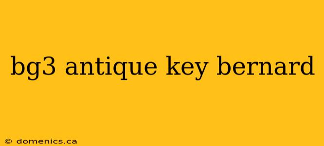 bg3 antique key bernard
