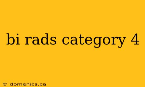 bi rads category 4