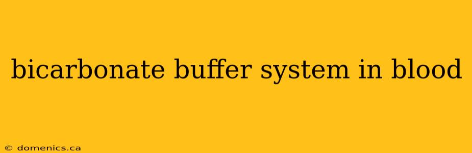 bicarbonate buffer system in blood