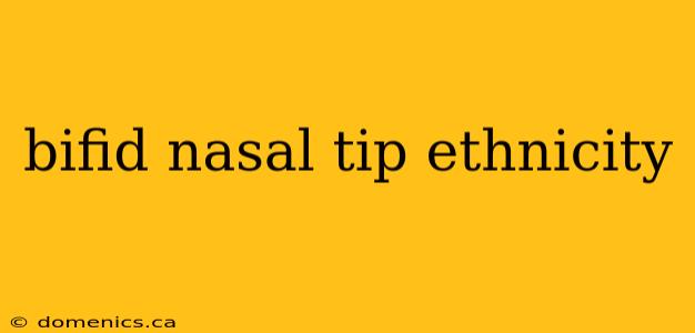 bifid nasal tip ethnicity