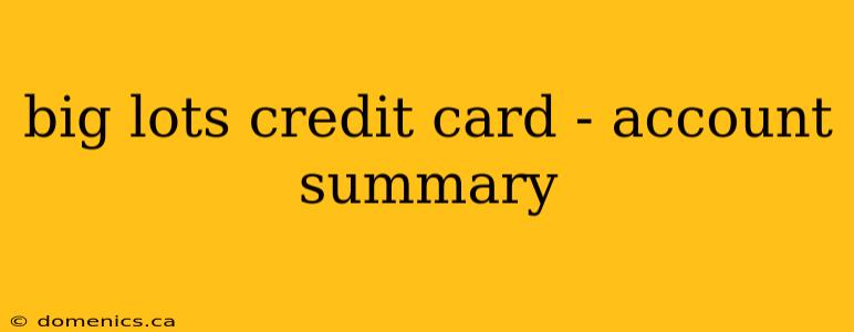 big lots credit card - account summary