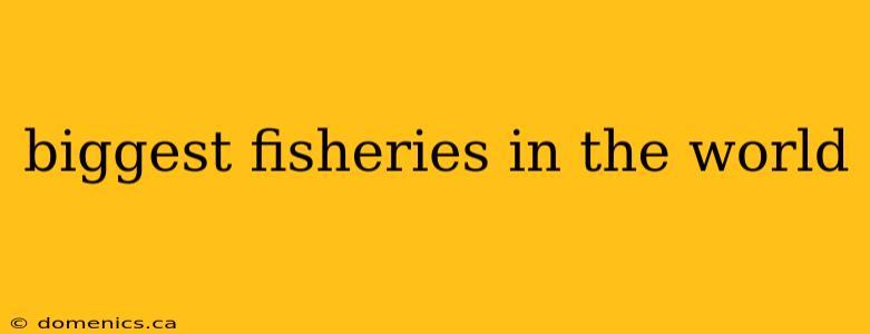 biggest fisheries in the world