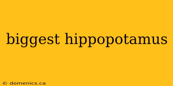 biggest hippopotamus