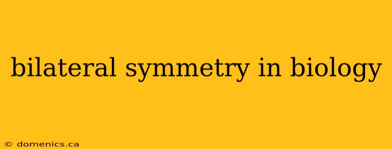 bilateral symmetry in biology