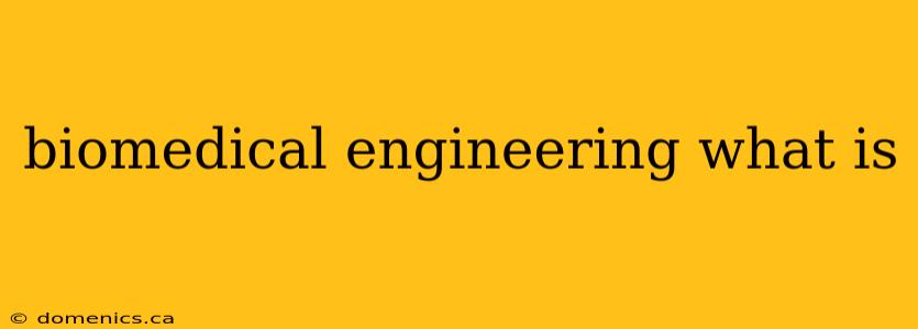 biomedical engineering what is