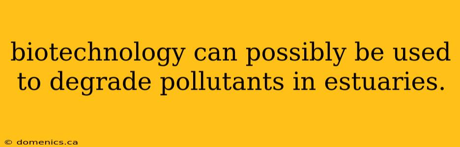 biotechnology can possibly be used to degrade pollutants in estuaries.