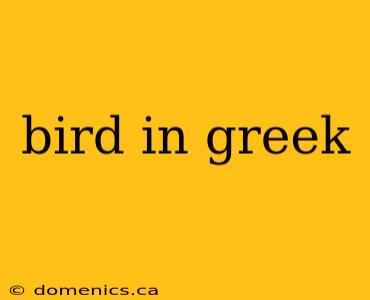 bird in greek