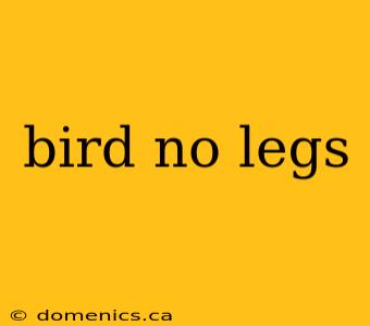 bird no legs