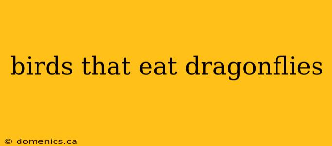 birds that eat dragonflies