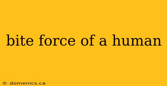 bite force of a human