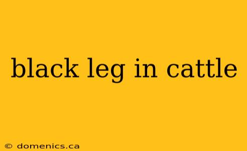 black leg in cattle